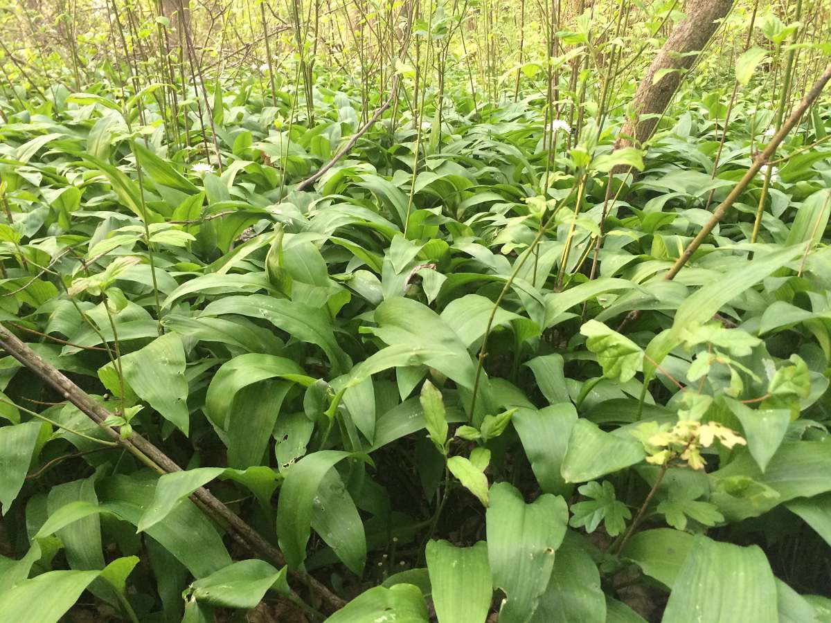 2014-04-18 18-26-53.JPG